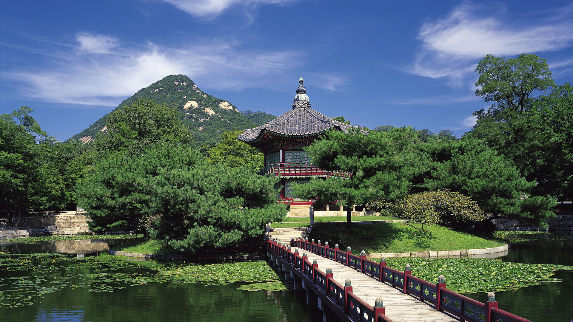 世界举重康复示范课堂第38站课程回放上线，世界举重大师赛